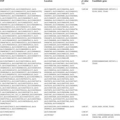 <mark class="highlighted">Genetic parameters</mark> estimation and genome molecular marker identification for gestation length in pigs